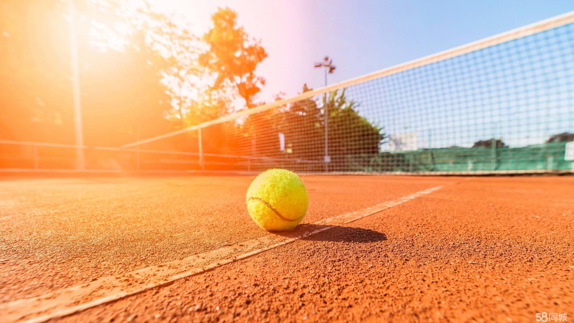 理层显然已 理层显然已